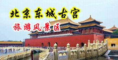 国产老师黑丝黄片视频A9191中国北京-东城古宫旅游风景区